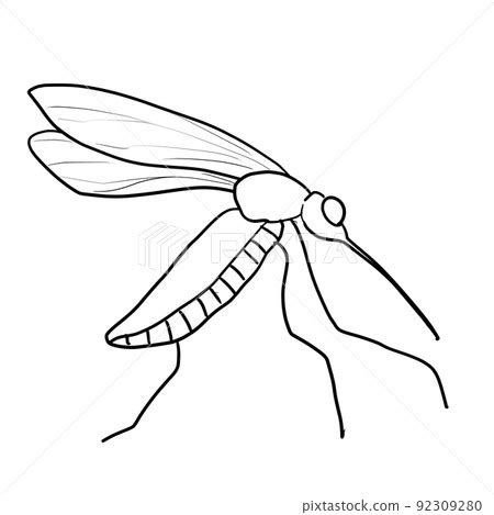 Simple mosquito line drawing - Stock Illustration [92309280] - PIXTA