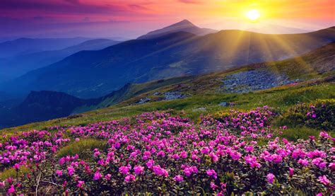 Spring Landscape Wallpapers Free Download