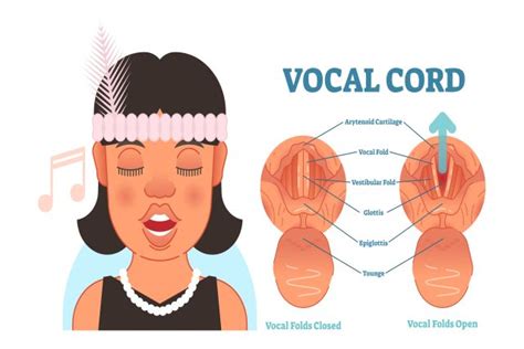 Vocal Technique and Sound Placement | My Voice Exercises.com