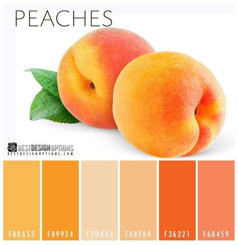 Peach Color Code / Coral Meaning, Combinations and Hex Code - Canva ...