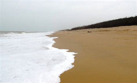 Konark Beach Puri Odisha, History, Things to do & How to visit