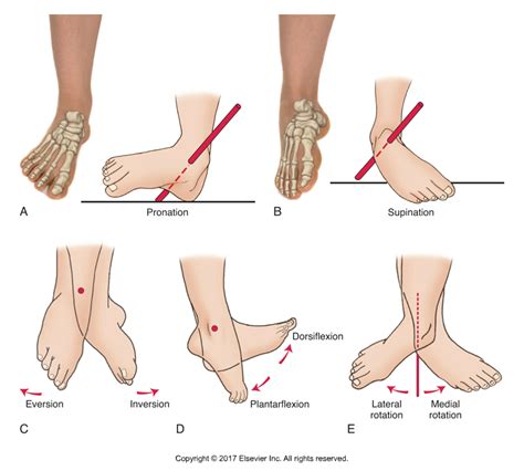 Decreased Ankle Dorsiflexion is Associated with Dynamic Knee Valgus