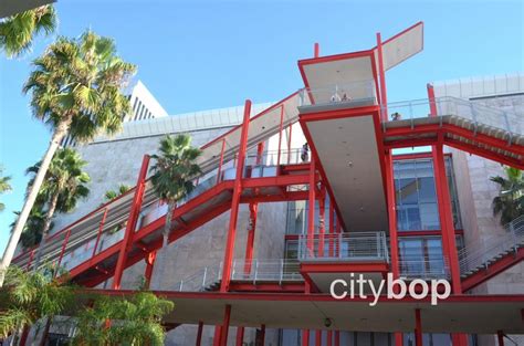 10 BEST Things To Do at LACMA - CityBOP