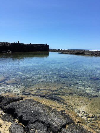 Kahalu'u Beach Park (Keauhou) - All You Need to Know Before You Go (with Photos) - TripAdvisor