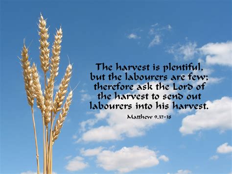 Matthew 9.37-38 Poster - The harvest is plentiful, but the labourers are few; therefore ask the ...