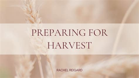 Preparing for Harvest