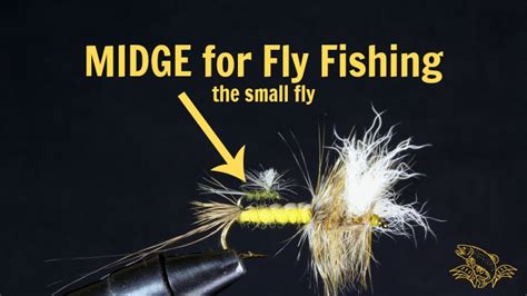 What is a Midge in Fly Fishing and How to Select the BEST - Guide Recommended