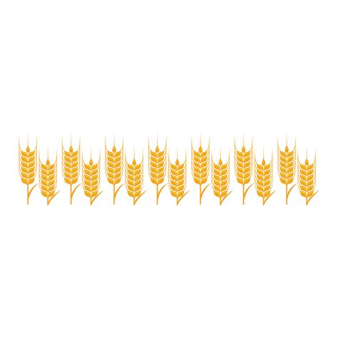 Agriculture wheat vector 17746656 Vector Art at Vecteezy