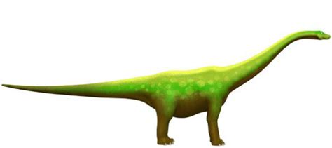 Diplodocus - Dinosaur Train Wiki