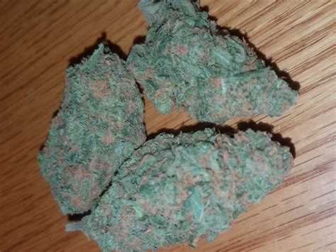 Blue Haze | Marijuana Strain Reviews | AllBud