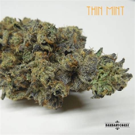 Thin Mint | Marijuana Strain Reviews | AllBud