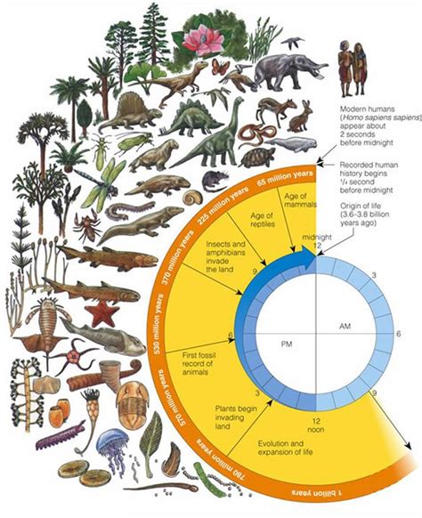 The Total Number of Species or Life Forms on Planet Earth - Vedas