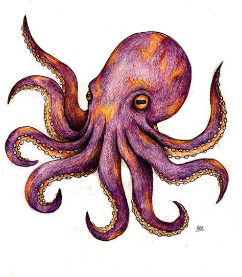 Octopus Tattoos Designs, Ideas and Meaning | Tattoos For You