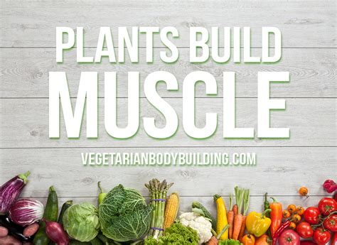 HOW TO BUILD MUSCLE WITH A VEGAN DIET - Now more than ever we are ...