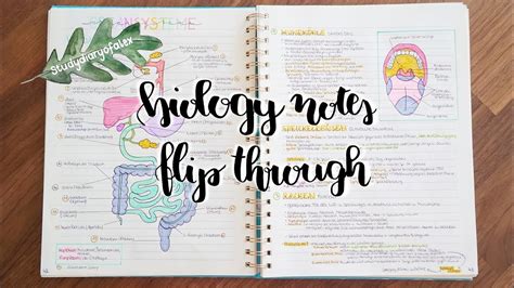 Biology notes flip through - YouTube