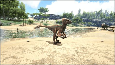 Ark Raptor (Abilities, Taming, Food, Saddle, Breeding, Drops & Location ...