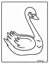 Swan Coloring Pages Free PDF Printables  Simply Love sketch template
