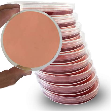 MacConkey Agar Plates - Evviva Sciences - 10 तैयार MacConkey Agar ...