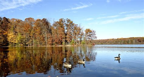 Burke Lake Park in Fairfax Virginia Photograph by Brendan Reals - Fine Art America