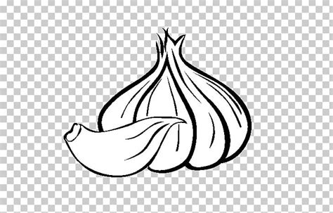 Garlic Drawing Food Vegetable Painting PNG, Clipart, Artwork, Beta, Black, Black And White ...