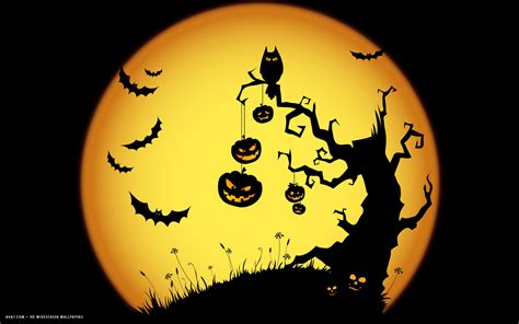 🔥 [50+] Halloween Owl Wallpapers | WallpaperSafari