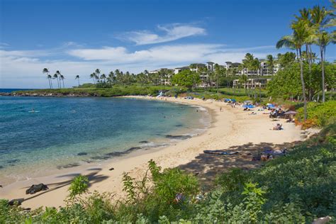 Top 8 Things to Do at Kapalua Bay Beach - Maui Hideaway