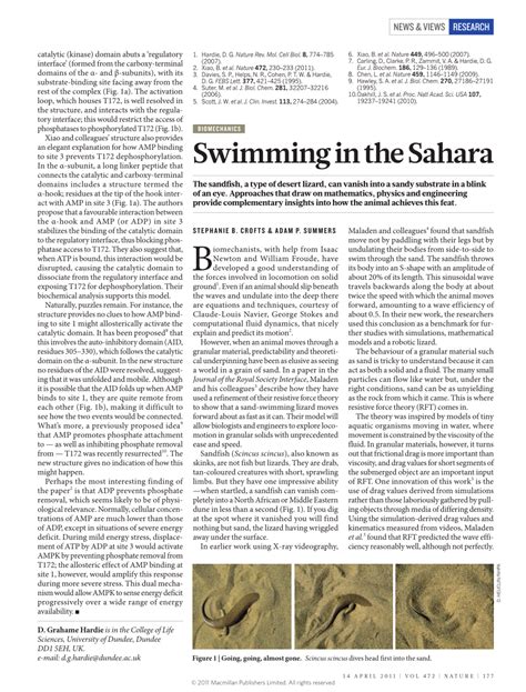 (PDF) Biomechanics: Swimming in the Sahara