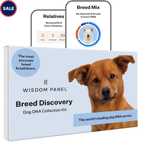 Wisdom Panel 3.0 Breed Identification Dog DNA Test Kit | Petco