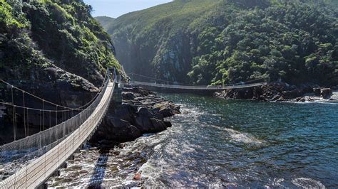 a suspension bridge over a body of water