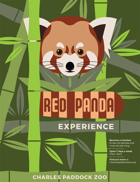 Red Panda Experience — Kyle Branch Design