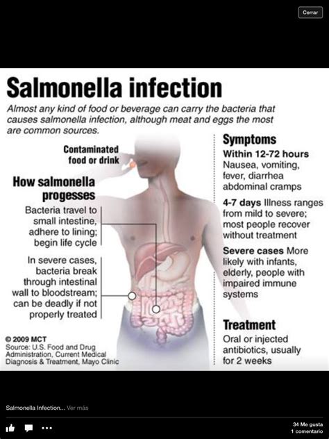 Salmonella Lab Diagnosis : epi lab 5 - Lab 5 Salmonella in the ...