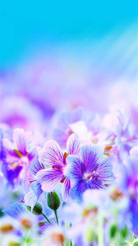 Most Beautiful Flowers Wallpapers - Top Free Most Beautiful Flowers Backgrounds - WallpaperAccess