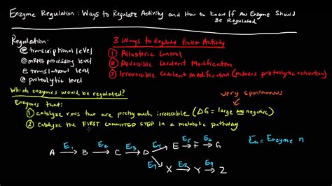 Enzyme Regulation (Part 1 of 5) - How [and which] Enzymes are Regulated - YouTube