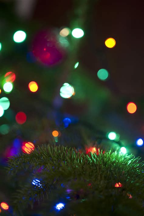 Free Image of Bokeh of colorful Christmas lights | Freebie.Photography