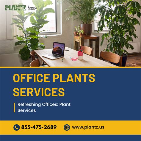 Office Plants Services by PLANTZ on Dribbble