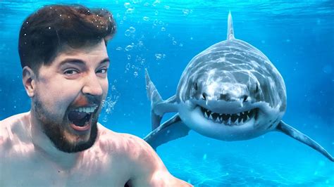 Would You Swim With Sharks For $100,000? | MrBeast