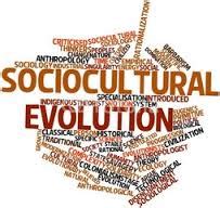 Sociocultural Evolution - Assignment Point