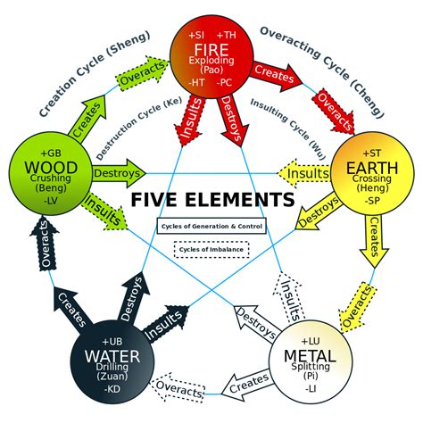 5 Element Constellations: A Body Oriented Health and Wellness Approach ...