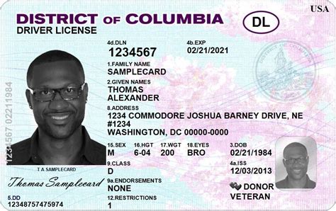 D.C. Council to Vote On Giving Driver's Licenses to Illegals