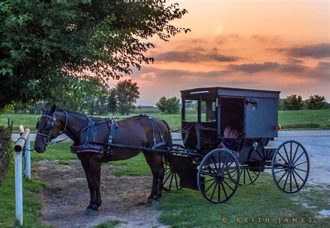 .: Amish Love... | Amish farm, Amish country, Amish culture