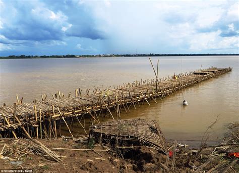 The amazing bamboo bridge in Cambodia that is taken down and rebuilt every year | Daily Mail Online