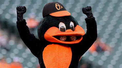 Baltimore Orioles mascot fights back after fan takes low blow during ...