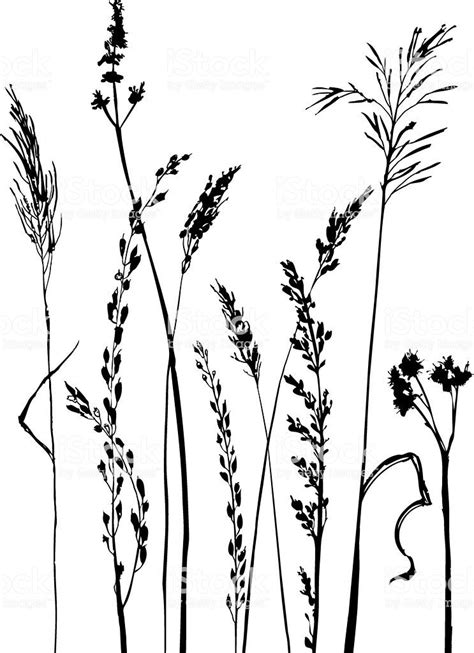 Silhouettes of flowers and grass, hand drawn vector illustration ...