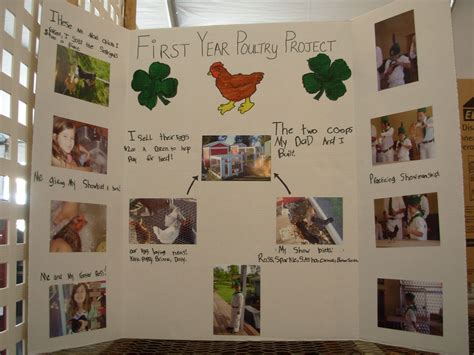 4h project ideas, 4-h crafts, 4-h projects