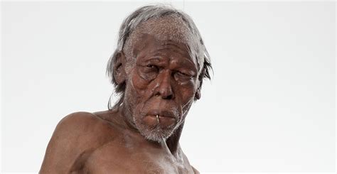 Modern humans may have been in Europe 150,000 years earlier than thought | Natural History Museum