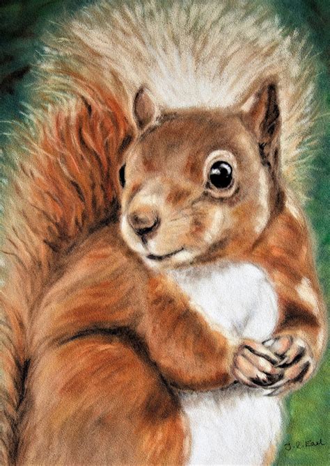 Squirrel Art Squirrel Print Squirrel Painting Squirrel - Etsy