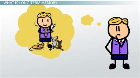 Long-Term Memory | Overview, Examples & Types - Lesson | Study.com