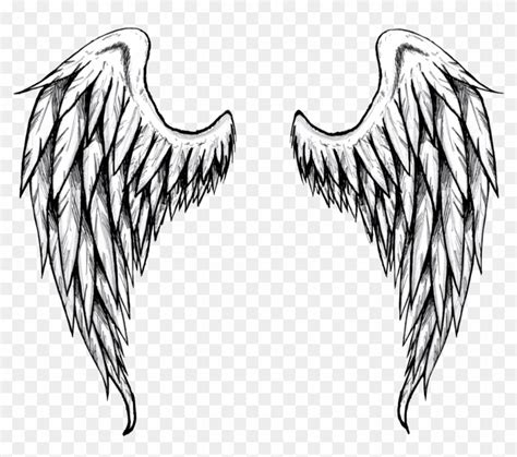 Angel Wings Drawing - Free Transparent PNG Clipart Images Download