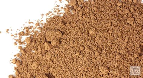 Bulk Reishi Mushroom Powder | Monterey Bay Herb Co