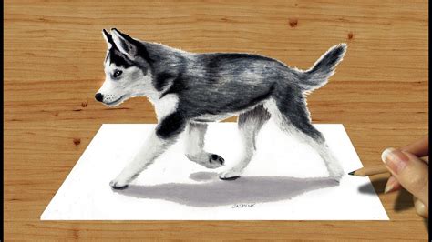 Easy Husky Sketch at PaintingValley.com | Explore collection of Easy ...